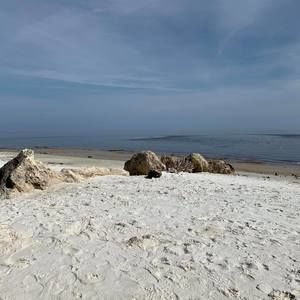 Meet your Posher, Gretchen